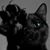 Alisha Howard's profile image