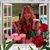 Patricia Nelson Miller's profile image