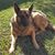 Monica Flores Rodriguez's profile image