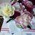Deanna Mizer's profile image