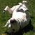 Julie Dunn Myshrall's profile image
