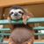 Scott Carney's profile image