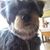 Patricia Wolfe's profile image
