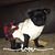Amy Ostdahl-Erramouspe's profile image