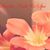 Uvalde Nails's profile image