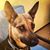 Biz Kat Smith's profile image