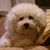 Mimi Wolfort's profile image