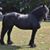 Connie Slagle's profile image
