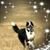 Susan Fudge Smith's profile image