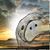 Tammy James Scott's profile image