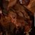 Angie Denty's profile image