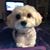 Haven Cox Colquitt's profile image