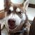 Quentyn Haglund's profile image
