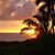 Debra Salomone-Pierce's profile image