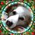 Heather Sauer's profile image