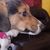 Anita Motson Rigous's profile image
