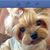 Debra Landry's profile image