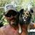 Nick Gregorieff's profile image