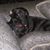Brenda Towle's profile image