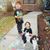 Christina Korotkin's profile image