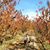 Guillermo Wouters's profile image