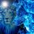 Michael Loye's profile image