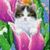 Carolyn Heath's profile image