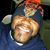 Patrick Rideout's profile image