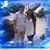 Michele Beidler's profile image