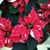 Juana Munoz's profile image