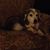 Kathy Hardcastle Ruge's profile image