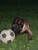 Maryfrances B.'s profile image