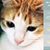 Carol Suzanne King's profile image