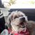 Annette Bishop's profile image