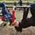 Tanya Hegg's profile image