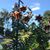 Laurie L Perrone's profile image