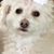 Michael N Linda Ealy's profile image