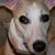 John Pressley Garrett's profile image