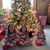 Brenda Riese's profile image