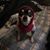 Jay Fury's profile image