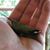 James Martella's profile image