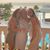 Erin Claggett Lovett's profile image