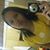 Sanara Amy's profile image