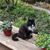 Joanne Uppendahl's profile image