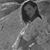 Agatha Pottenger's profile image