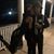 Brandie Lewallen's profile image