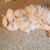 Mary Kollner Mendel's profile image