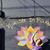 Sharon Diane Friedman's profile image