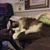 Veronica Messick's profile image