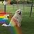 Marissa Higinio's profile image